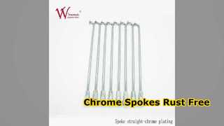 WIMMA CD125 Chrome Motorcycle Spokes