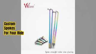 Custom Motorcycle Spokes & Nipples