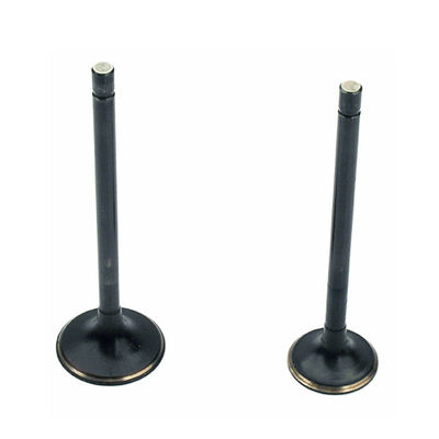 Motorcycle Engine Itake and Exhaust Valve BAJAJ 3W4S CNG 175CC High Performance