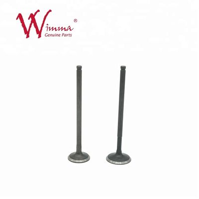 Motorcycle Intake And Exhaust Valves, Thunder SS Main Engine Exhaust Valve